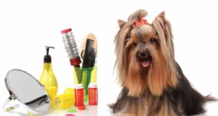 cosmetica canina Brasov